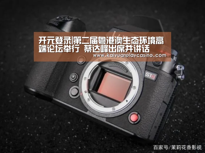 开元直播
