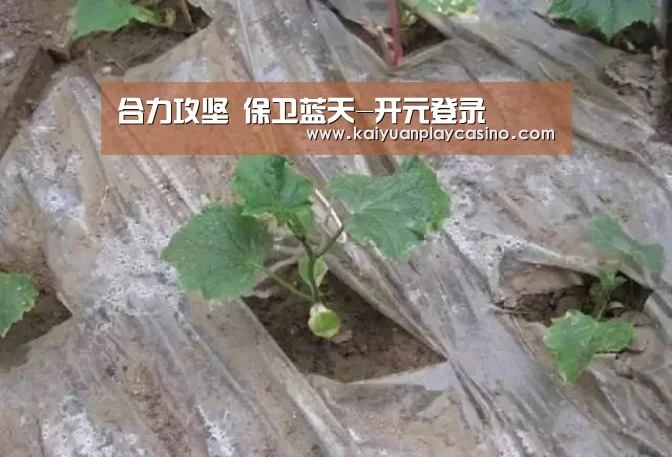 合力攻坚 保卫蓝天-开元登录(图2) 开元体育